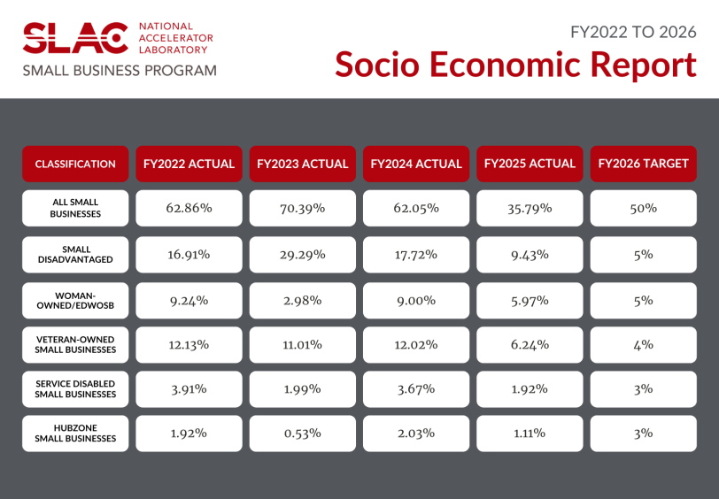 small business program socio economic report